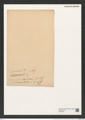 Chaetoceros janischianus Castr. (de-Toni-Nr.: Genus 149, Species 4139) Zeichnungen Sammlung Grunow (NHMW-BOT-W0376897)